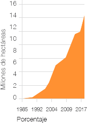 Gráfico de crecimiento de hectáreas dedicadas al cultivo orgánico Gráfico de crecimiento de hectáreas dedicadas al cultivo orgánico