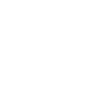 icono-talento-especializado.png